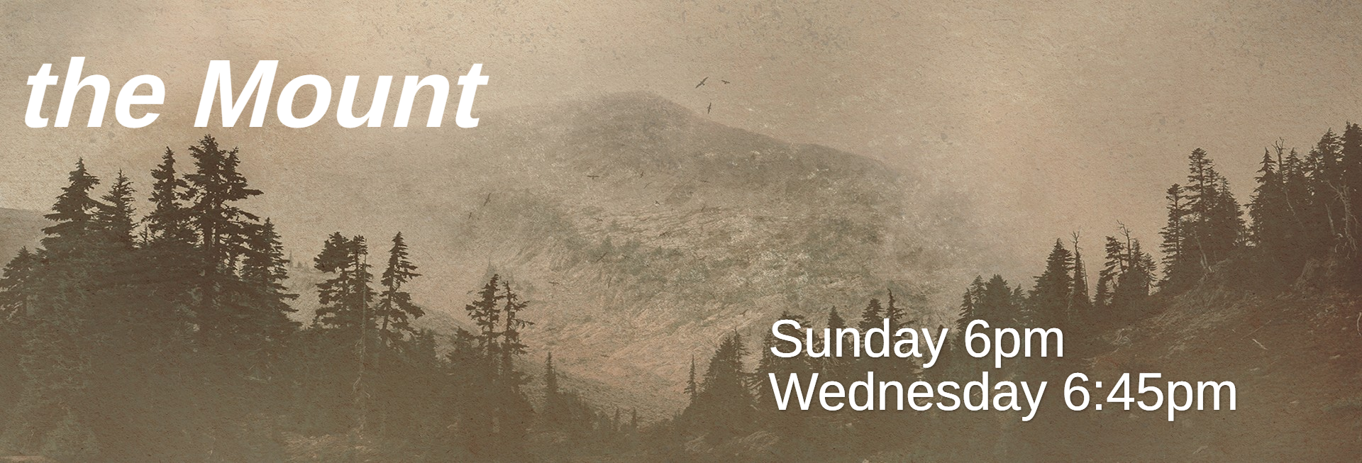 Into The Wild Church Website Banner
